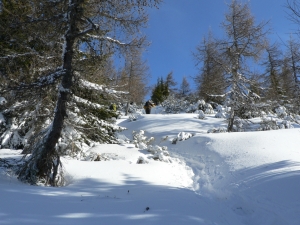 Názov súboru=Chab02.JPG
Veľkosť súboru=1176KB
Veľkosť=1152x864
Dátum pridania=14. Február 2011 Chab02.JPG