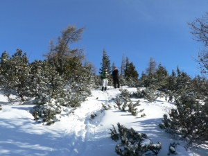 Názov súboru=Chab03.JPG
Veľkosť súboru=1099KB
Veľkosť=1152x864
Dátum pridania=14. Február 2011 Chab03.JPG