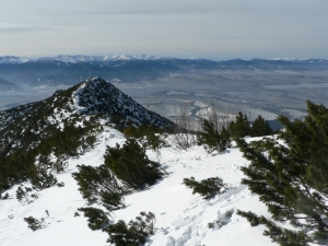 Názov súboru=Chab07.JPG
Veľkosť súboru=1039KB
Veľkosť=1152x864
Dátum pridania=14. Február 2011 Chab07.JPG