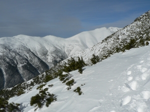 Názov súboru=Chab12.JPG
Veľkosť súboru=1001KB
Veľkosť=1152x864
Dátum pridania=14. Február 2011 Chab12.JPG