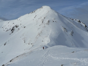 Názov súboru=Chab40.JPG
Veľkosť súboru=898KB
Veľkosť=1152x864
Dátum pridania=14. Február 2011 Chab40.JPG