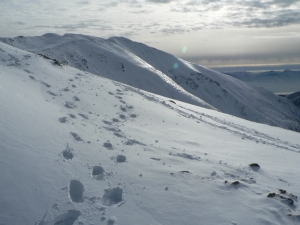 Názov súboru=Chab42.JPG
Veľkosť súboru=910KB
Veľkosť=1152x864
Dátum pridania=14. Február 2011 Chab42.JPG