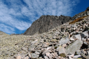 Názov súboru=Barrohy03.JPG
Veľkosť súboru=1348KB
Veľkosť=1296x864
Dátum pridania=19. September 2011 Barrohy03.JPG
