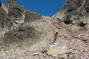 Názov súboru=Barrohy29.JPG
Veľkosť súboru=1488KB
Veľkosť=1296x864
Dátum pridania=19. September 2011 Barrohy29.JPG