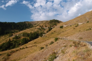 Názov súboru=Col_d_Allos01.JPG
Veľkosť súboru=1189KB
Veľkosť=1296x864
Dátum pridania=30. September 2017 Col_d_Allos01.JPG