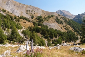 Názov súboru=Col_de_la_Cayolle05.JPG
Veľkosť súboru=1443KB
Veľkosť=1296x864
Dátum pridania=30. September 2017 Col_de_la_Cayolle05.JPG