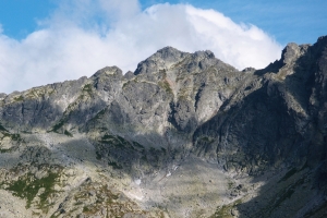 Cubrina_01.jpg