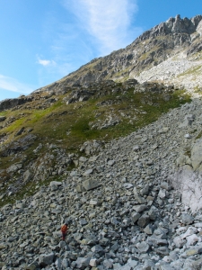 Cubrina_10.JPG