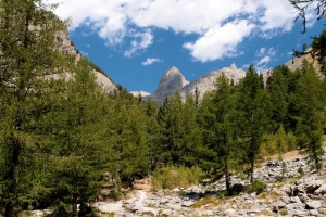 Názov súboru=D_Vystup_k_jazeru_Lac_de_Trecolpas03.JPG
Veľkosť súboru=877KB
Veľkosť=1152x768
Dátum pridania=11. September 2017 D_Vystup_k_jazeru_Lac_de_Trecolpas03.JPG