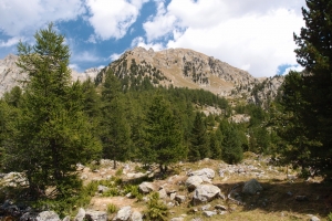 Názov súboru=D_Vystup_k_jazeru_Lac_de_Trecolpas04.JPG
Veľkosť súboru=1095KB
Veľkosť=1152x768
Dátum pridania=11. September 2017 D_Vystup_k_jazeru_Lac_de_Trecolpas04.JPG
