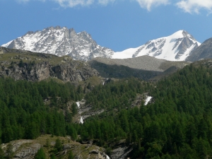 P1060480_1.jpg