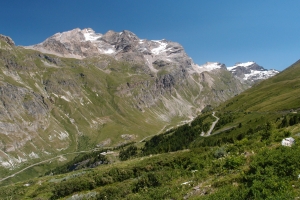 Grand_Cocor_02.JPG