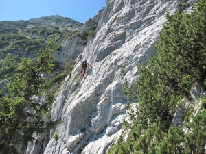 Názov súboru=Donnerkogel14.jpg
Veľkosť súboru=1375KB
Veľkosť=1152x864
Dátum pridania=15. Júl 2010 Donnerkogel14.jpg