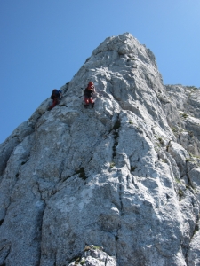 Názov súboru=Donnerkogel20.jpg
Veľkosť súboru=610KB
Veľkosť=648x864
Dátum pridania=15. Júl 2010 Donnerkogel20.jpg