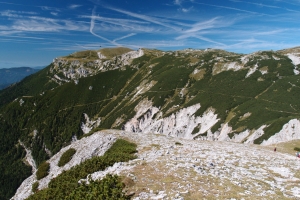 Názov súboru=Heidsteig_26.JPG
Veľkosť súboru=1370KB
Veľkosť=1296x864
Dátum pridania=07. September 2015 Heidsteig_26.JPG