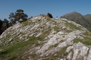 Názov súboru=IbonsdAlba_07.JPG
Veľkosť súboru=1302KB
Veľkosť=1296x864
Dátum pridania=23. Júl 2012 IbonsdAlba_07.JPG