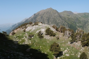 Názov súboru=IbonsdAlba_10.JPG
Veľkosť súboru=1186KB
Veľkosť=1296x864
Dátum pridania=23. Júl 2012 IbonsdAlba_10.JPG