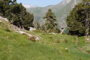 Názov súboru=IbonsdAlba_12.JPG
Veľkosť súboru=1545KB
Veľkosť=1296x864
Dátum pridania=23. Júl 2012 IbonsdAlba_12.JPG