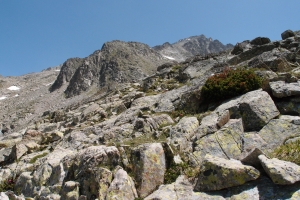 Názov súboru=IbonsdAlba_27.JPG
Veľkosť súboru=1424KB
Veľkosť=1296x864
Dátum pridania=23. Júl 2012 IbonsdAlba_27.JPG