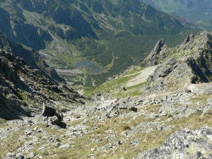 Názov súboru=JS16.JPG
Veľkosť súboru=1353KB
Veľkosť=1152x864
Dátum pridania=04. Október 2010 JS16.JPG