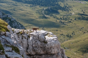 Názov súboru=Montasio_06.JPG
Veľkosť súboru=1406KB
Veľkosť=1296x864
Dátum pridania=09. September 2016 Montasio_06.JPG