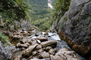 Názov súboru=Julske_Alpy33.JPG
Veľkosť súboru=1582KB
Veľkosť=1296x864
Dátum pridania=08. September 2014 Julske_Alpy33.JPG