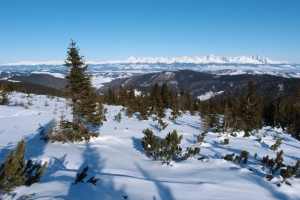 Názov súboru=Kralholzima_05.JPG
Veľkosť súboru=1127KB
Veľkosť=1296x864
Dátum pridania=18. Február 2012 Kralholzima_05.JPG
