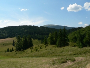 Názov súboru=Kralova_hola00.JPG
Veľkosť súboru=996KB
Veľkosť=1152x864
Dátum pridania=16. Máj 2011 Kralova_hola00.JPG