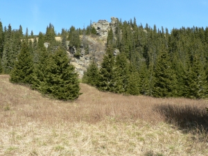 Názov súboru=Kralova_hola01.JPG
Veľkosť súboru=1365KB
Veľkosť=1152x864
Dátum pridania=16. Máj 2011 Kralova_hola01.JPG