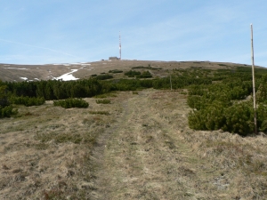 Názov súboru=Kralova_hola12.JPG
Veľkosť súboru=1133KB
Veľkosť=1152x864
Dátum pridania=16. Máj 2011 Kralova_hola12.JPG