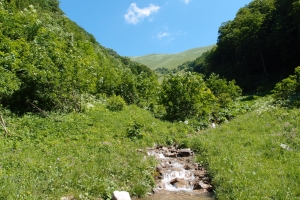 Kralova_studna01.JPG