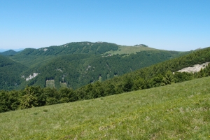 Kralova_studna02.JPG