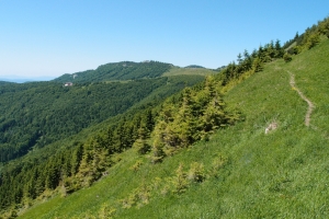 Kralova_studna03.JPG