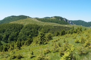 Kralova_studna04.JPG