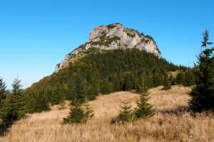 MalyRozs_02.JPG