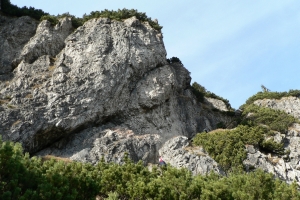 Názov súboru=MalyRozs_04.jpg
Veľkosť súboru=985KB
Veľkosť=1296x864
Dátum pridania=06. Február 2012 MalyRozs_04.jpg