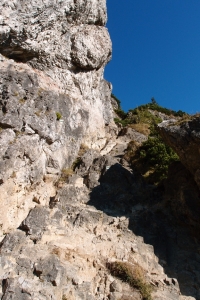 MalyRozs_06.JPG