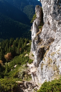 MalyRozs_07.JPG