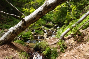 Názov súboru=Martinske_hole_Ferrata_HZS_01.JPG
Veľkosť súboru=1748KB
Veľkosť=1296x864
Dátum pridania=07. Január 2015 Martinske_hole_Ferrata_HZS_01.JPG