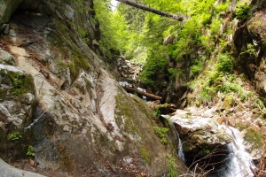 Názov súboru=Martinske_hole_Ferrata_HZS_03.JPG
Veľkosť súboru=1704KB
Veľkosť=1296x864
Dátum pridania=07. Január 2015 Martinske_hole_Ferrata_HZS_03.JPG