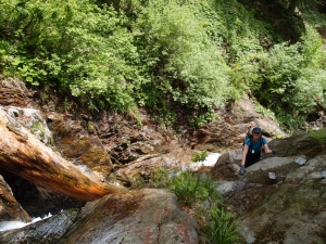 Názov súboru=Martinske_hole_Ferrata_HZS_09.JPG
Veľkosť súboru=1598KB
Veľkosť=1152x864
Dátum pridania=07. Január 2015 Martinske_hole_Ferrata_HZS_09.JPG