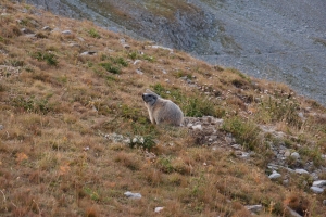 Názov súboru=Mont_Pelat09.JPG
Veľkosť súboru=1410KB
Veľkosť=1296x864
Dátum pridania=08. Október 2017 Mont_Pelat09.JPG