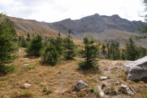 Názov súboru=Montagne_de_l_Avalanche04.JPG
Veľkosť súboru=1306KB
Veľkosť=1296x864
Dátum pridania=08. Október 2017 Montagne_de_l_Avalanche04.JPG