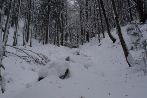 Názov súboru=OstTls_002.JPG
Veľkosť súboru=1188KB
Veľkosť=1296x864
Dátum pridania=15. Január 2012 OstTls_002.JPG