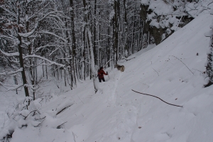 Názov súboru=OstTls_004.JPG
Veľkosť súboru=873KB
Veľkosť=1296x864
Dátum pridania=15. Január 2012 OstTls_004.JPG