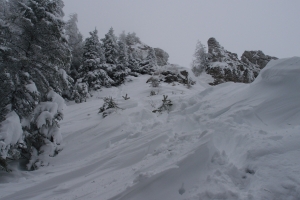 Názov súboru=OstTls_007.JPG
Veľkosť súboru=965KB
Veľkosť=1296x864
Dátum pridania=15. Január 2012 OstTls_007.JPG