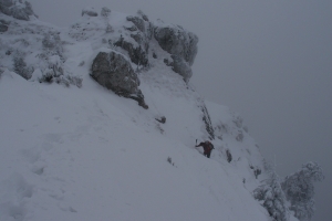 Názov súboru=OstTls_009.JPG
Veľkosť súboru=823KB
Veľkosť=1296x864
Dátum pridania=15. Január 2012 OstTls_009.JPG