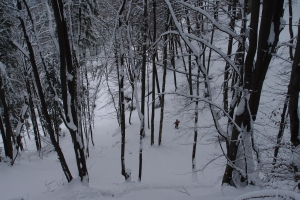 Názov súboru=OstTls_019.JPG
Veľkosť súboru=1335KB
Veľkosť=1296x864
Dátum pridania=15. Január 2012 OstTls_019.JPG