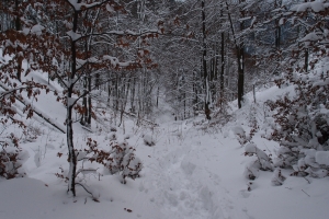 Názov súboru=OstTls_020.JPG
Veľkosť súboru=1355KB
Veľkosť=1296x864
Dátum pridania=15. Január 2012 OstTls_020.JPG