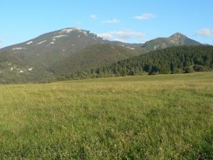 Názov súboru=OT01.jpg
Veľkosť súboru=1013KB
Veľkosť=1152x864
Dátum pridania=04. Október 2010 OT01.jpg